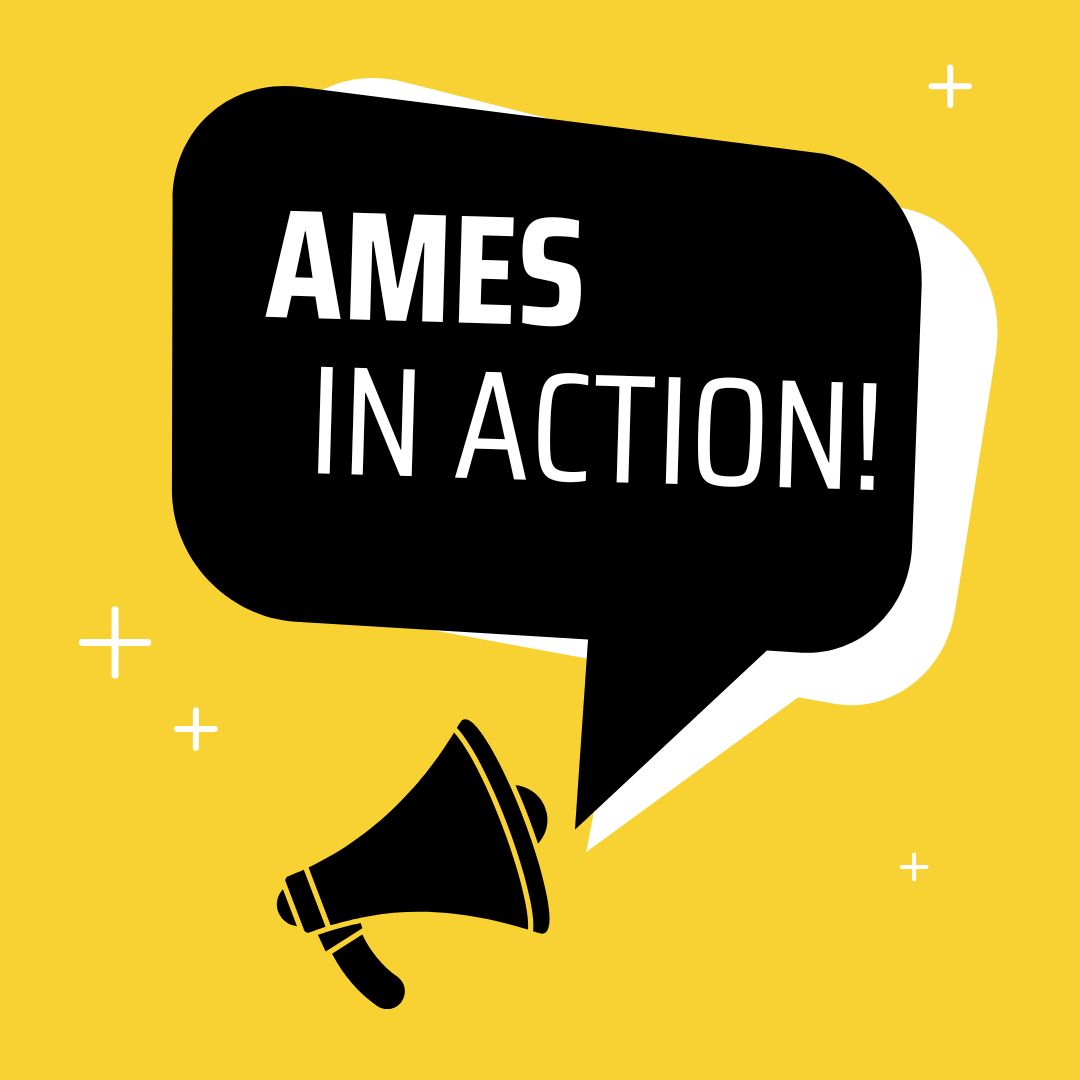 AMES_in_action
