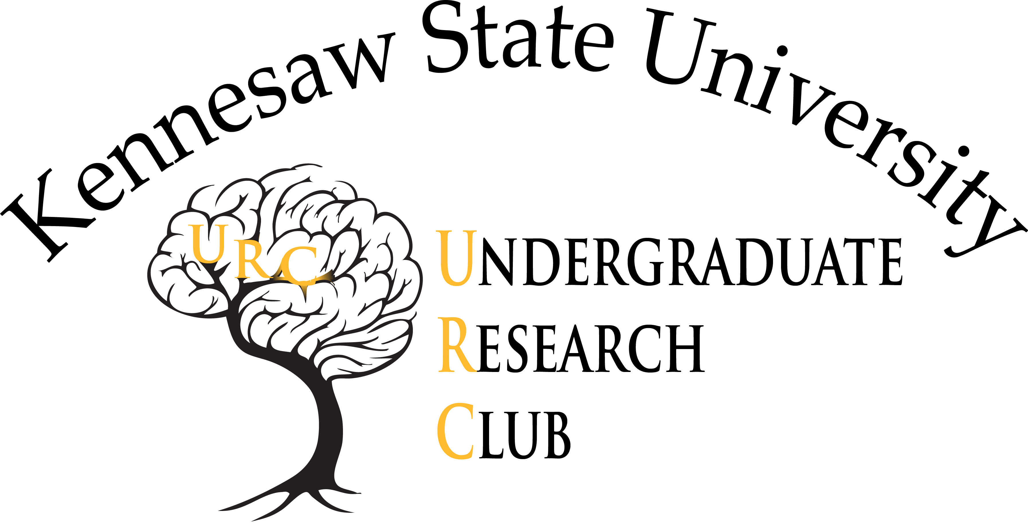 Undergraduate Research Club
