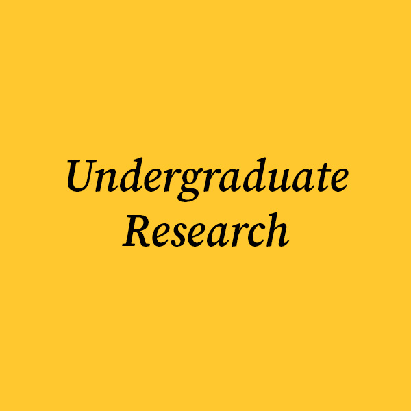 Undergraduate Research Image