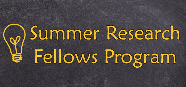 summer research fellows