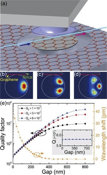 Graphene Coupled with Microcavity